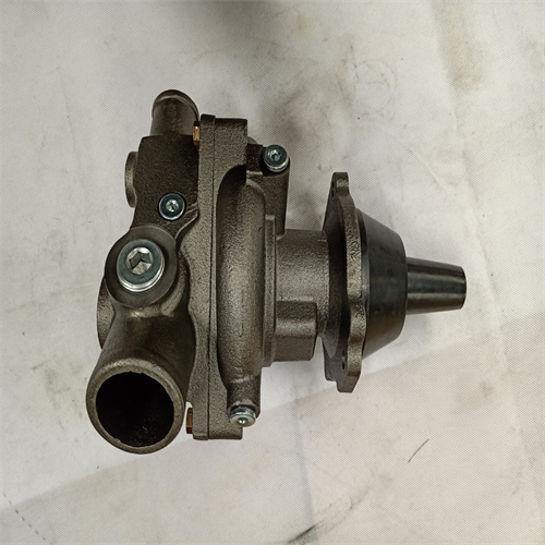 Water pump 1